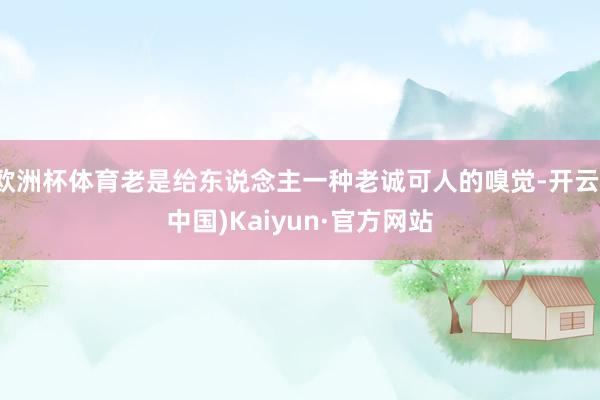 欧洲杯体育老是给东说念主一种老诚可人的嗅觉-开云(中国)Kaiyun·官方网站