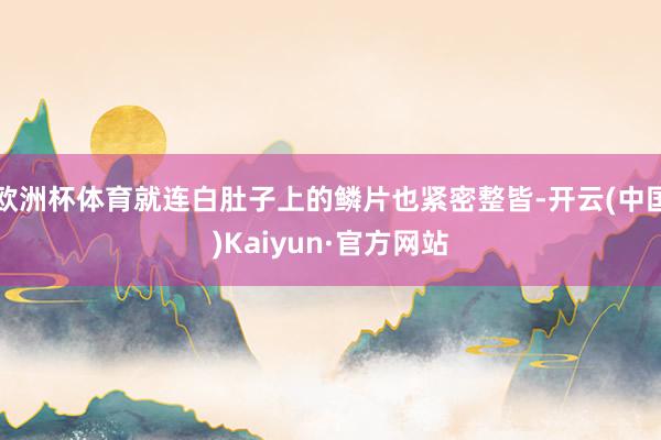欧洲杯体育就连白肚子上的鳞片也紧密整皆-开云(中国)Kaiyun·官方网站