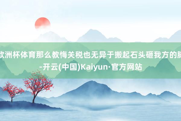 欧洲杯体育那么教悔关税也无异于搬起石头砸我方的脚-开云(中国)Kaiyun·官方网站