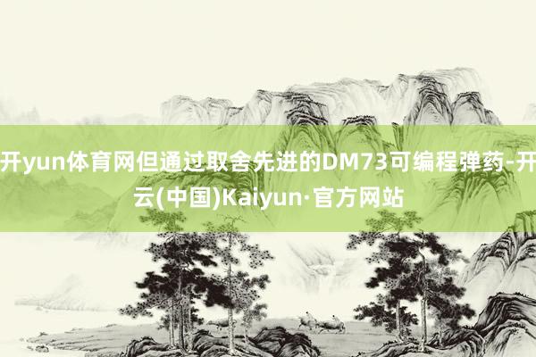 开yun体育网但通过取舍先进的DM73可编程弹药-开云(中国)Kaiyun·官方网站