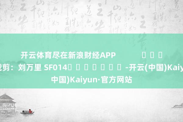 开云体育尽在新浪财经APP 背负裁剪:刘万里 SF014 -开云(中国)Kaiyun·官方网站