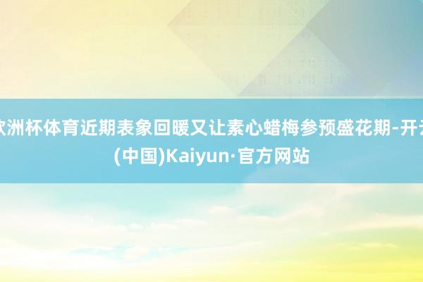 欧洲杯体育近期表象回暖又让素心蜡梅参预盛花期-开云(中国)Kaiyun·官方网站