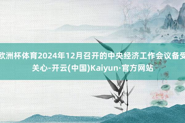 欧洲杯体育2024年12月召开的中央经济工作会议备受关心-开云(中国)Kaiyun·官方网站