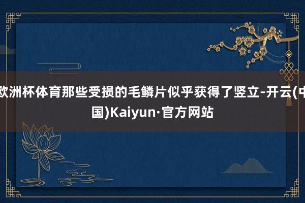 欧洲杯体育那些受损的毛鳞片似乎获得了竖立-开云(中国)Kaiyun·官方网站