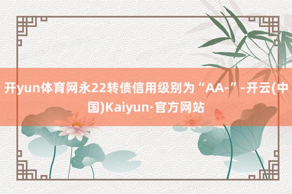开yun体育网永22转债信用级别为“AA-”-开云(中国)Kaiyun·官方网站