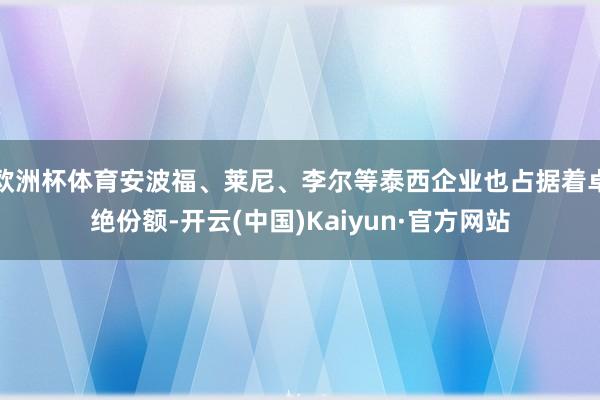 欧洲杯体育安波福、莱尼、李尔等泰西企业也占据着卓绝份额-开云(中国)Kaiyun·官方网站