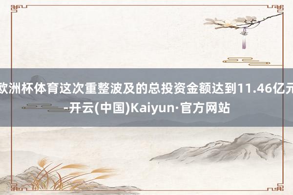 欧洲杯体育这次重整波及的总投资金额达到11.46亿元-开云(中国)Kaiyun·官方网站