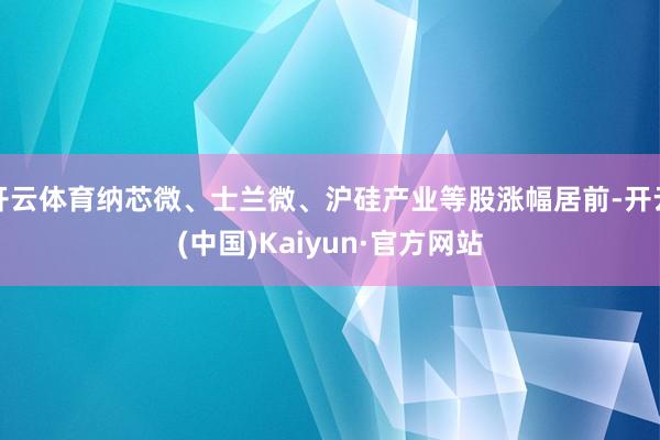 开云体育纳芯微、士兰微、沪硅产业等股涨幅居前-开云(中国)Kaiyun·官方网站