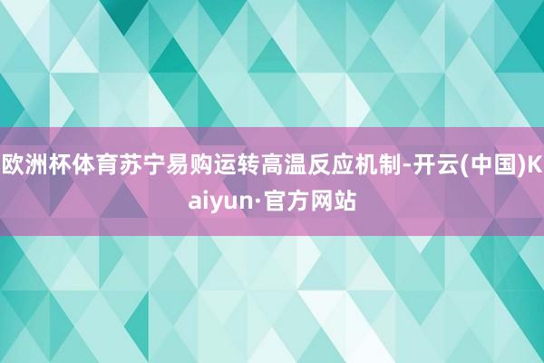 欧洲杯体育苏宁易购运转高温反应机制-开云(中国)Kaiyun·官方网站