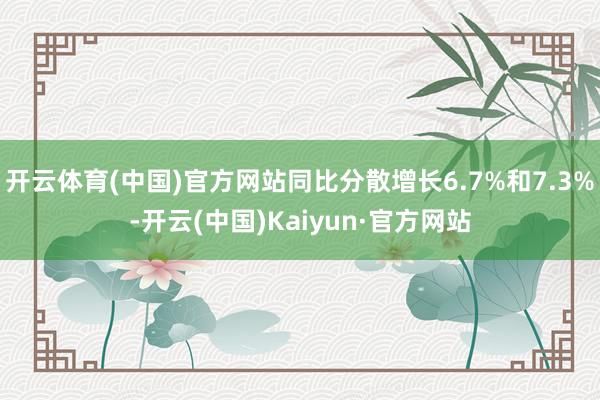开云体育(中国)官方网站同比分散增长6.7%和7.3%-开云(中国)Kaiyun·官方网站