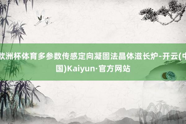 欧洲杯体育多参数传感定向凝固法晶体滋长炉-开云(中国)Kaiyun·官方网站