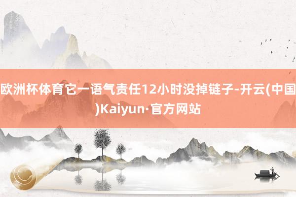 欧洲杯体育它一语气责任12小时没掉链子-开云(中国)Kaiyun·官方网站